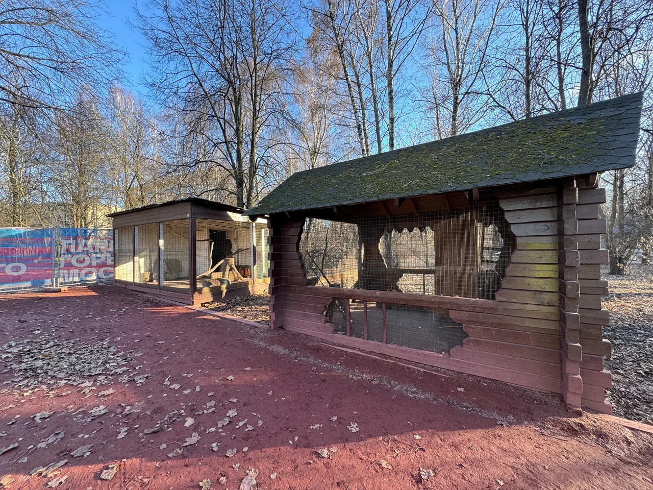 Фото Мини-зоопарк "Мини Zoo" (м. Воробьевы горы) - развлечение в Москве | Досугатор
